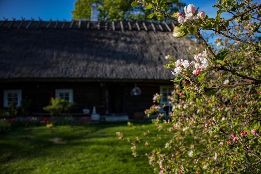 Kuusetuka Tourism Farm Villa Pahkla Exterior foto